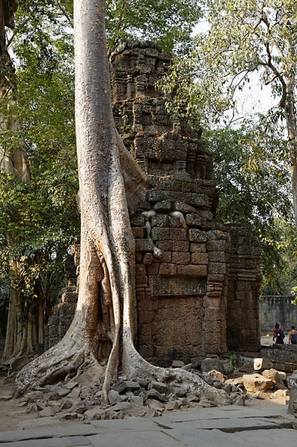 Ta Phrom et environs-106